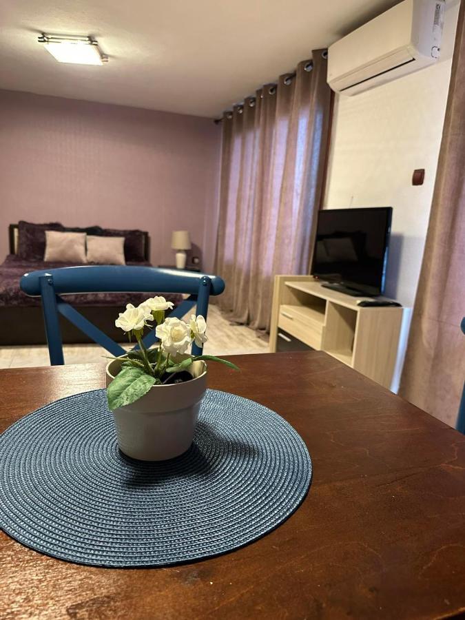 Вила Николета Otel Sveti Vlas Dış mekan fotoğraf