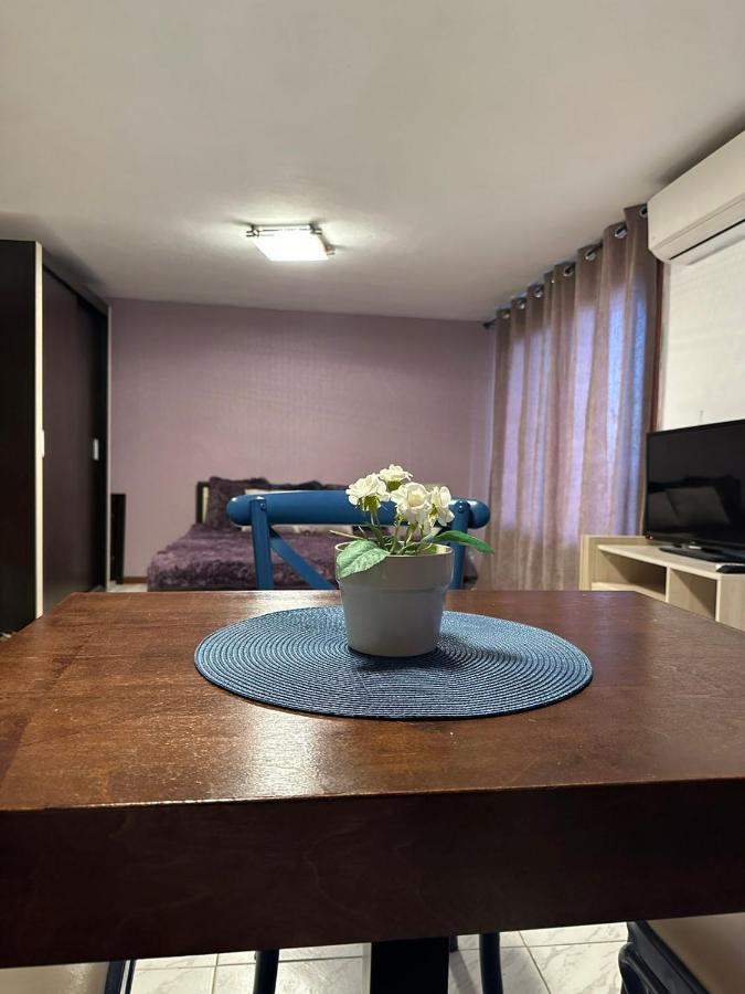 Вила Николета Otel Sveti Vlas Dış mekan fotoğraf